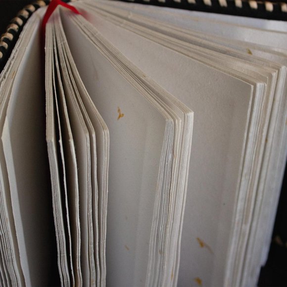 Viking Dragon Crest Leather Journal - Picture 7 of 8